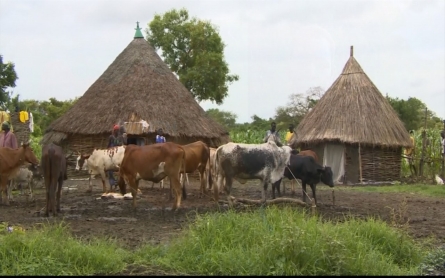 South Sudan's ‘White Army’